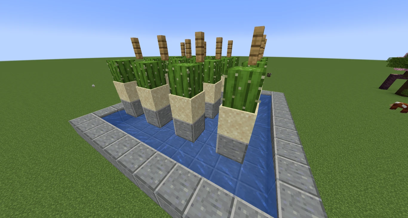 Minecraft Automatische Kaktusfarm 4