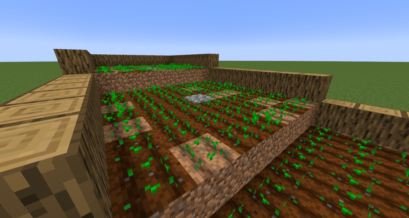 Campo de Minecraft 3