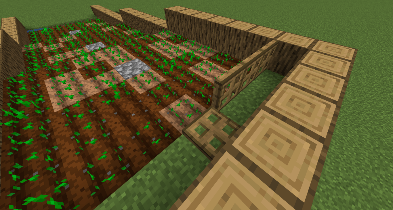 Campo de Minecraft 4