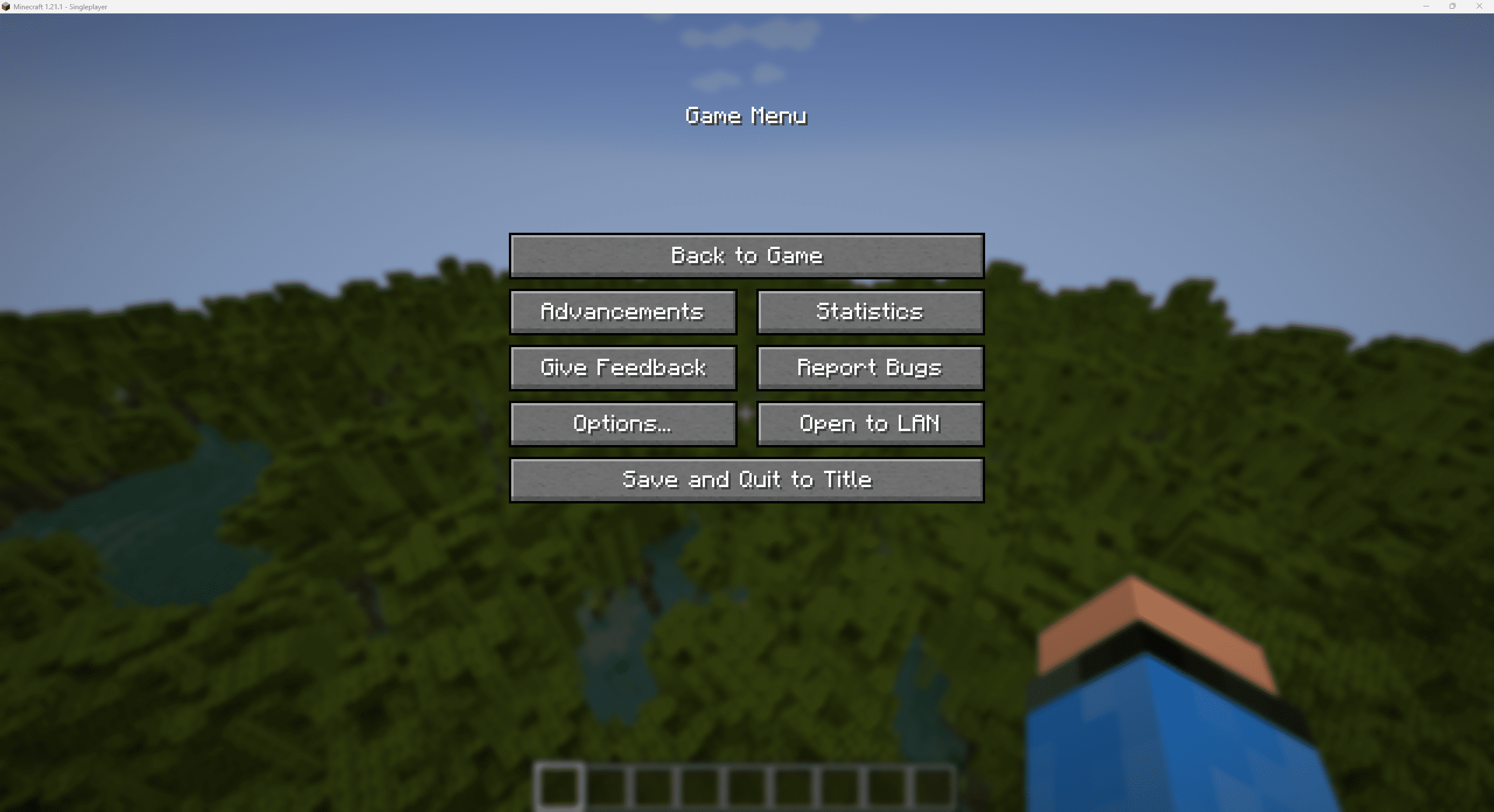 Serveur Minecraft Ouvert sur LAN