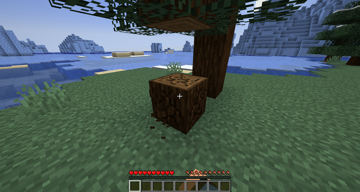 Bois de Minecraft