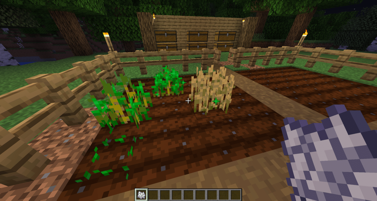 Campo di Minecraft in crescita