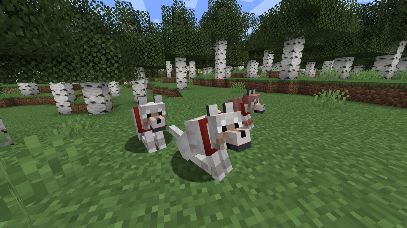 Apprivoiser des loups dans Minecraft