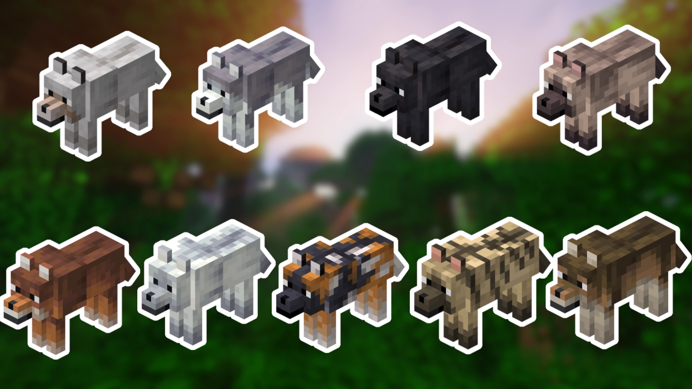 Different Fur Colours of Wolves in Minecraft